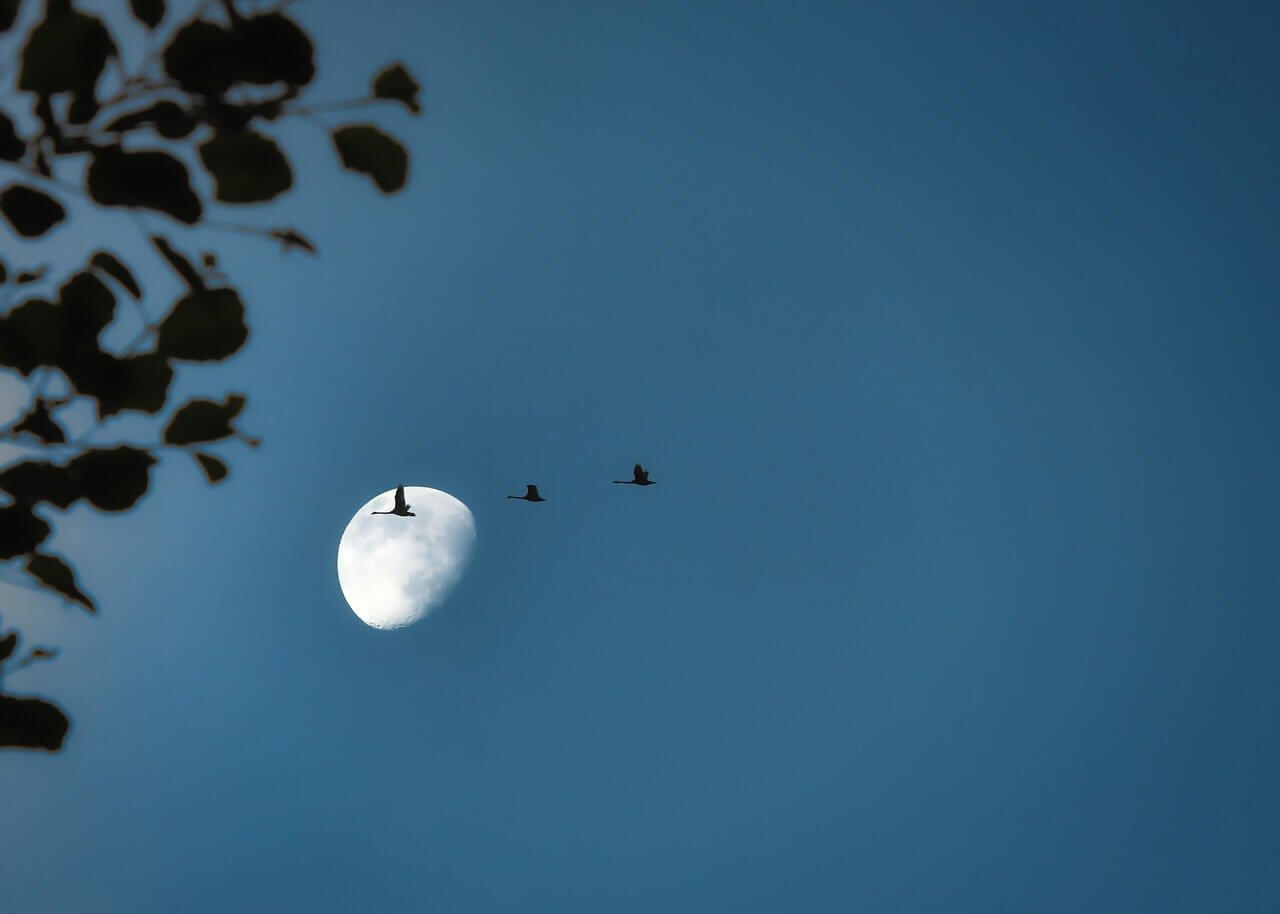 Visibility Of The Moon