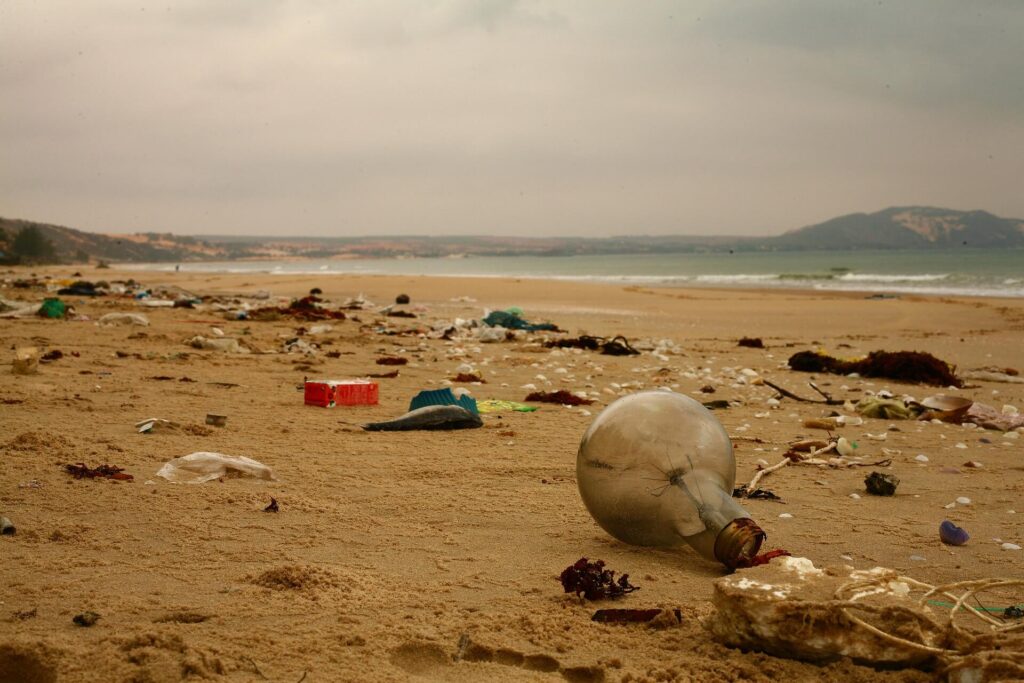 How Plastic Harms Marine Life