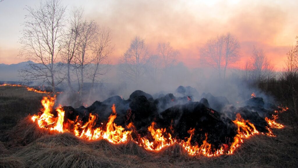 Stubble Burning Its Effect on Environment and Health