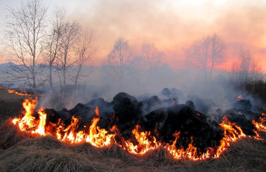 Stubble Burning Its Effect on Environment and Health