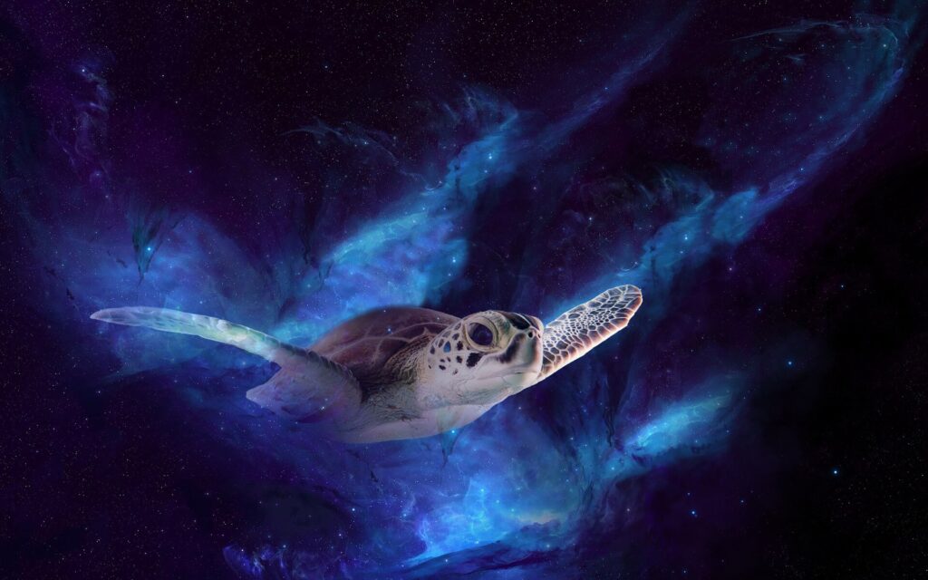 First Animals That Went to Space
