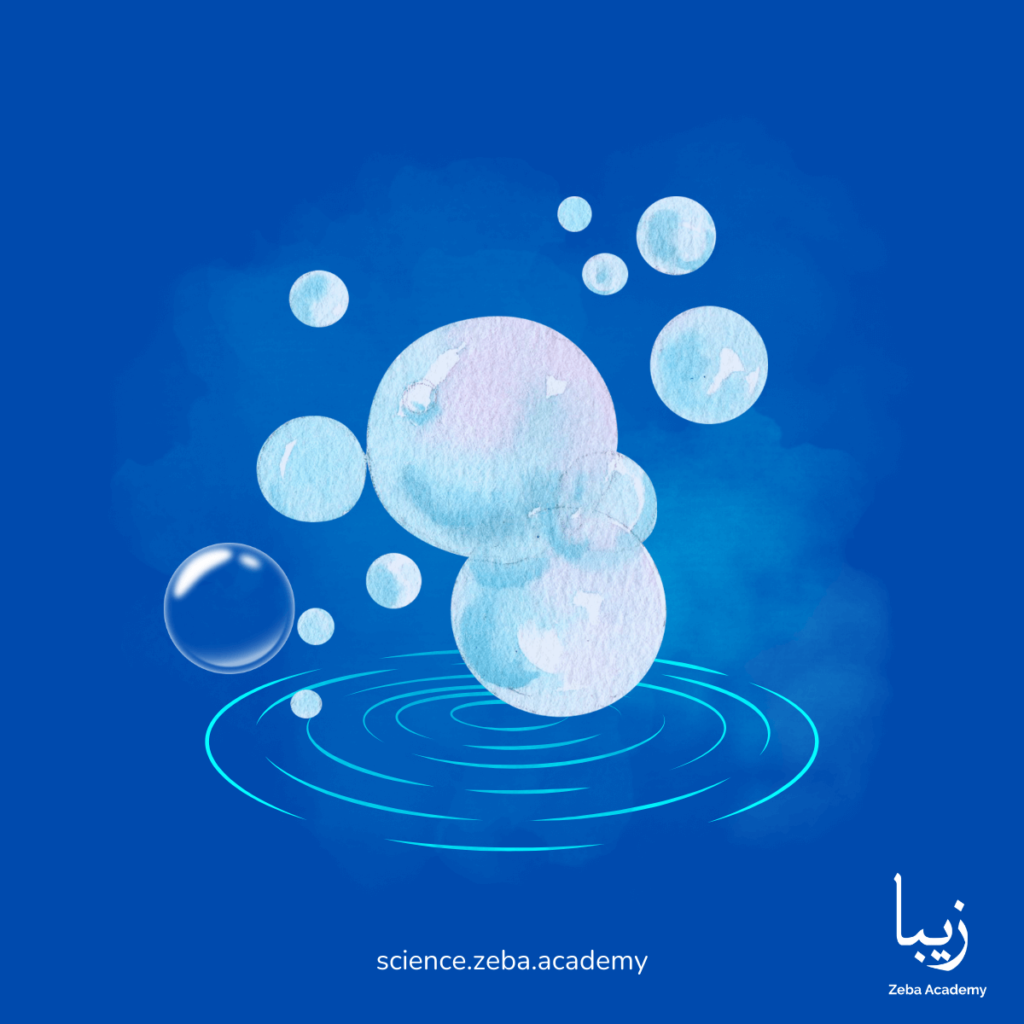 Water Wonders: Exploring Oceans, Rivers, and the Water Cycle