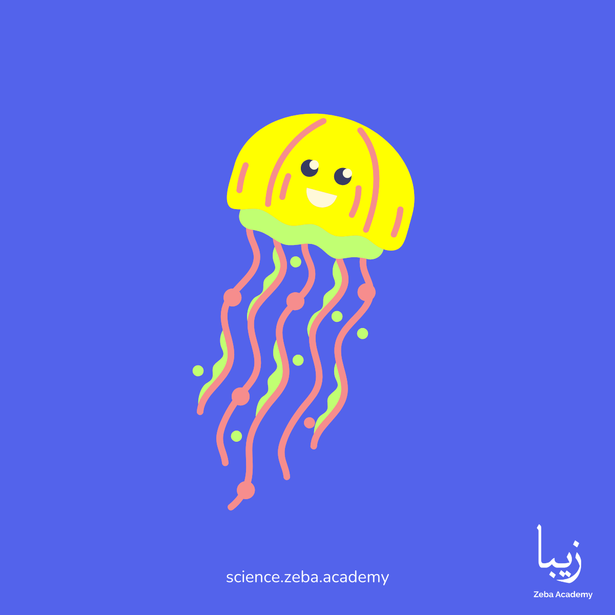 Bioluminescent Creatures