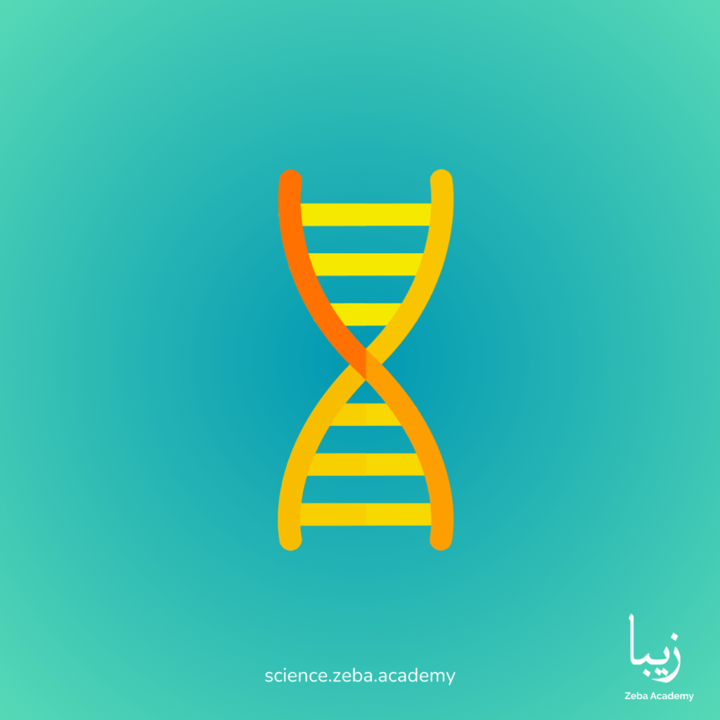 The Genetics of Taste: Navigating Genetic Food Predispositions