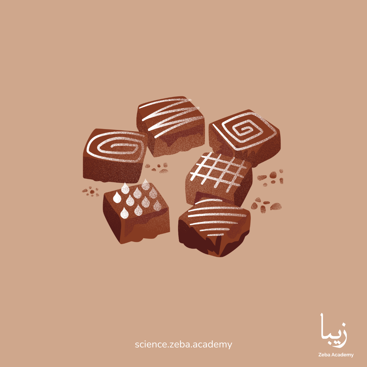 The Science of Chocolate