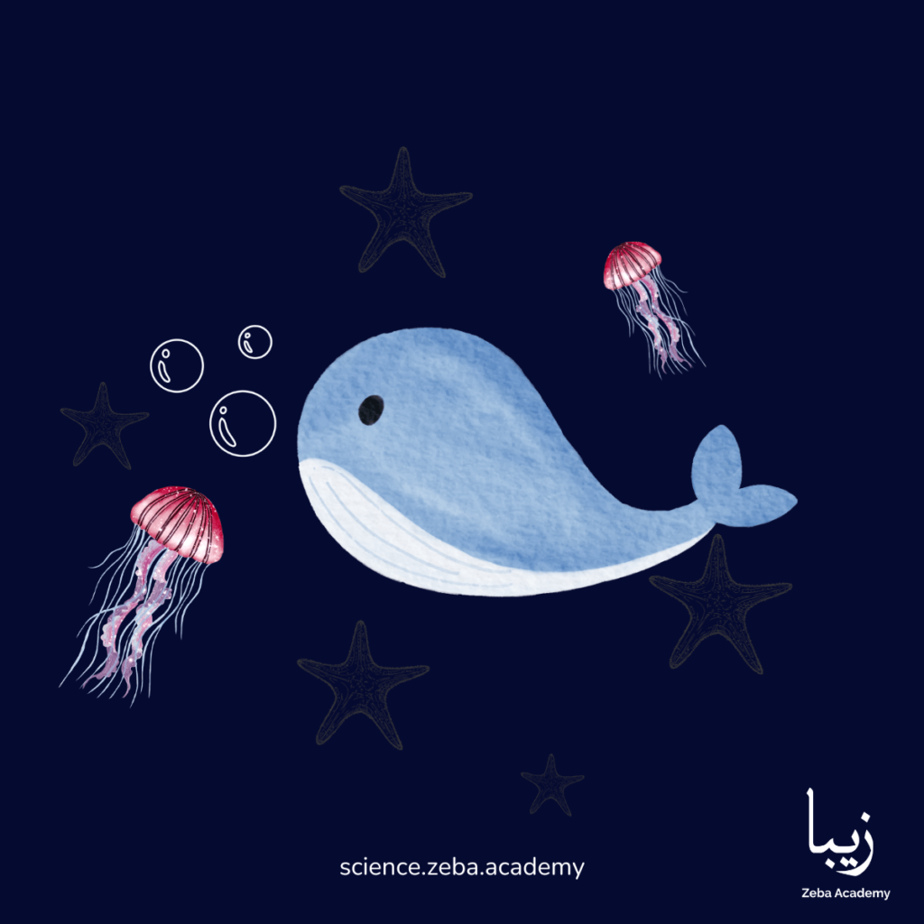Oceanography and Marine Life