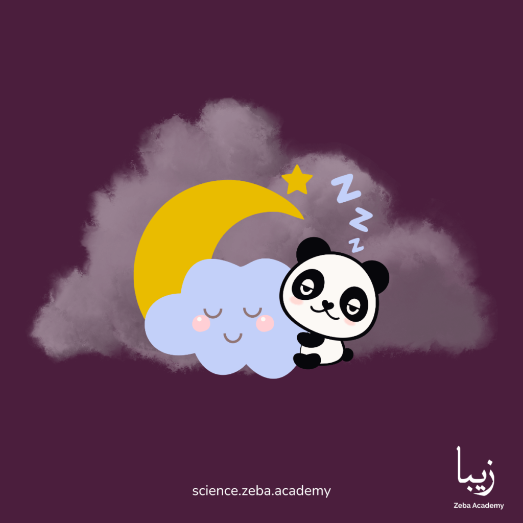 Role of Sleep in Mental and Physical Health