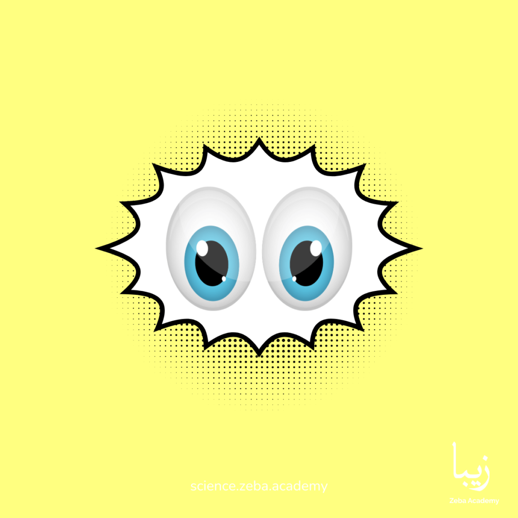Eyes Like Cameras: Exploring How We See the World
