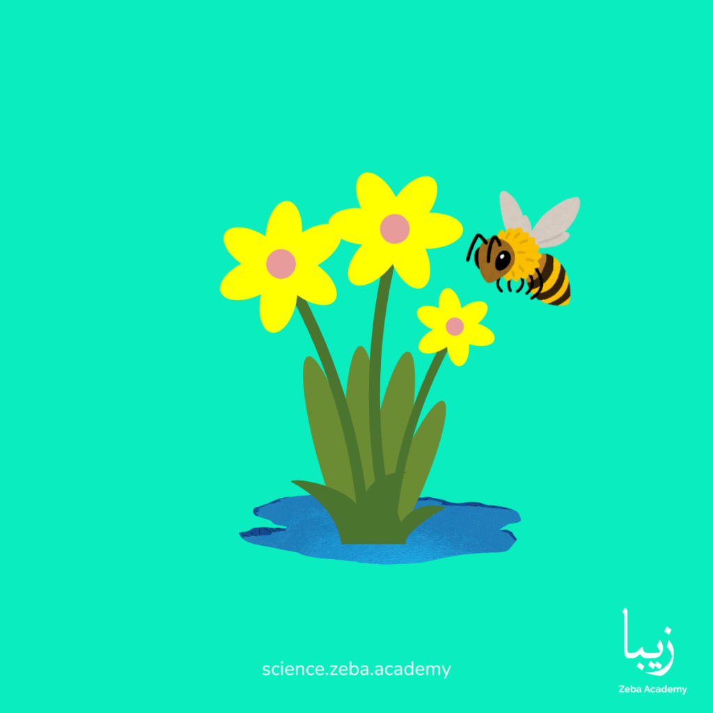 The Power of Pollinators: Investigating the Vital Role of Bees, Butterflies, and Hummingbirds